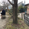 百寺巡礼-17-東山　慈照寺(銀閣寺）　2017/12/30