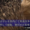 天然素材のそば殻枕の魅力