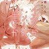 『イエスかノーか半分か』（一穂ミチ／新書館ディアプラス文庫）感想【ネタばれあり】