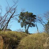 平野谷から鍋蓋山へのハイキング（その２）鍋蓋山～大師道