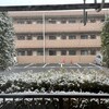ズイフトGR1本