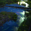 蛍撮影 2026-06-03～05（撮影地：鳥取県鳥取市河原町・曳田川、八上公園付近）