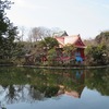 井の頭恩賜公園（東京都武蔵野市・三鷹市）