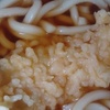 いか天ぷら　うどん