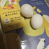 【インコ達】卵詰まりの恐怖