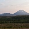 DAY#49 Whakapapa village to Tongariro hoiday park (35)