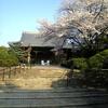 京都の桜（7）・清水寺