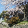 神社も寺も大変なことになってます．．．