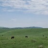 長野県（美ヶ原・上高地・奈良井宿）の旅②