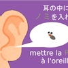フランス語の慣用表現「耳に蚤を置く⇒ 怪しまれる」