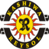 Salaries of J.League Kashiwa Reysol Players in 2018