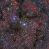 IC1396 ケフェウス座