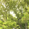 第三章 あなたが問題だと思っていることは本当に問題なのか