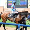 喜びも束の間⋯からの再浮上？