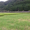 夏が過ぎ　風あざみ