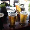 クラフトビールを巡る【那須高原ビール】厳選ビールを紹介