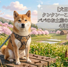 4月5日　パパのお土産に期待なのだ　お散歩後の足洗いカップが便利