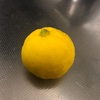 citrus life