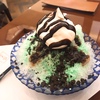 【武蔵小杉】一部店舗でしか食べられないチョコミント氷をグランツリーの椿屋カフェで