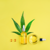 Why Is CBD healthy? The Surprising Benefits You Didn’t Know