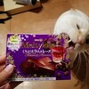 メルティーキッス　くちどけラムレーズン