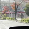 赤電車枯れ葉舞い立て抜けて行き