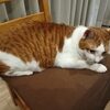 幸せな結末