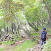 【子連れ登山記９】楽々登山で新緑と沼の景色を楽しむ・赤城山長七郎山と小沼