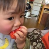 どうやら苺が好物になったみたいです。