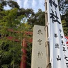 祝福のシャワー✨来宮神社⛩