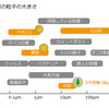2022/03/27  桜の花粉症ってあるのかーお花見シーズン到来ー