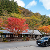 紅葉ドライブ
