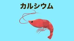 ダンゴムシ飼育｜カルシウム補給にはエビで脱皮不全を防ぐ