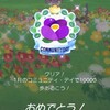 ピクミンブルーム＊その４０　青色つばきのコミュニティデイ