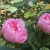 時間つぶし・・・ちゅうか～～～