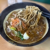 名代　天亀そば　神田店　その三　〜カレーそば・カレー南蛮そばを極めてみる　その三十五〜