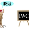 6月30日に正式にIWC脱退した日本。今後の影響は？クジラを食べる人はいるの？