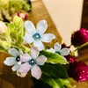 「苦しかった」と訴える内なる子ども