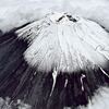 八合目付近まで冠雪した富士山 