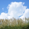 秋の入道雲