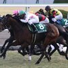 競馬初心者必見☆馬券予想🔥〜京都牝馬ステークス〜