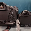 EOS R1のサブ機として「EOS R8」を購入した話⑤【撮影フィーリング編】　それでもEOS R1が使いたくなる！〜「EOS R1」を相棒に【158】