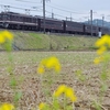 レトロ日光号（３）／東北本線を北上する回送列車