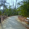  実走！名古屋RUNコース vol.75「大森公園」。