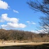 久しぶりの平和公園 里山