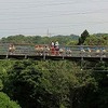 年中遠足～むろいけ園地・森の宝島～