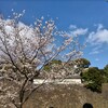 再び通院してきました💦