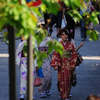 京都　ダイジェスト