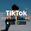 TikTokは綺麗な人向けの場所