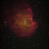 「モンキーヘッド星雲」と「メデューサ星雲」を撮影しました。